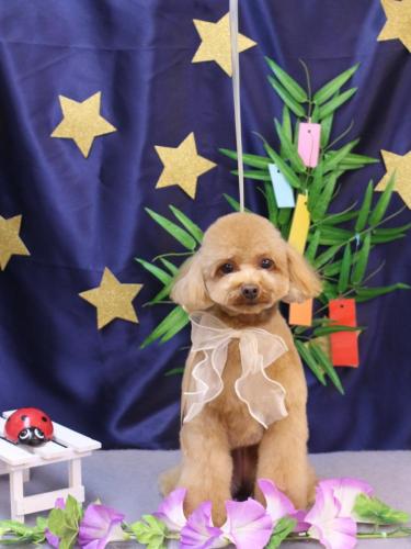 20230722ララちゃん